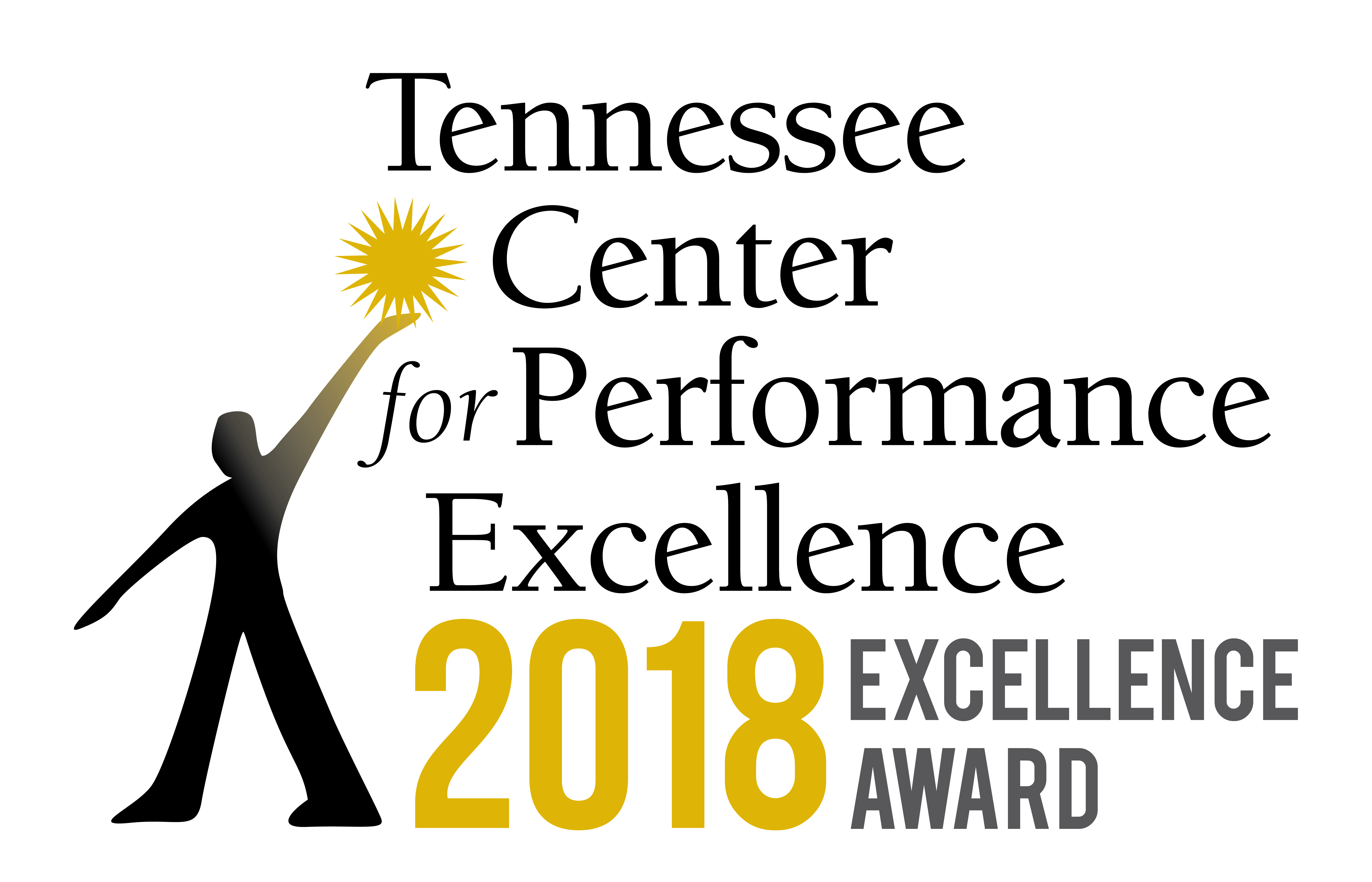 2018 Excellence Award